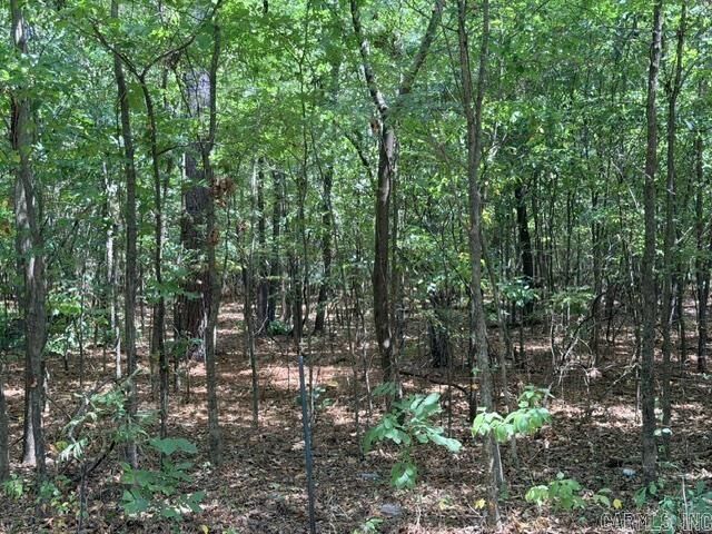 Property Photo: 000 McCurdy Road AR 72015