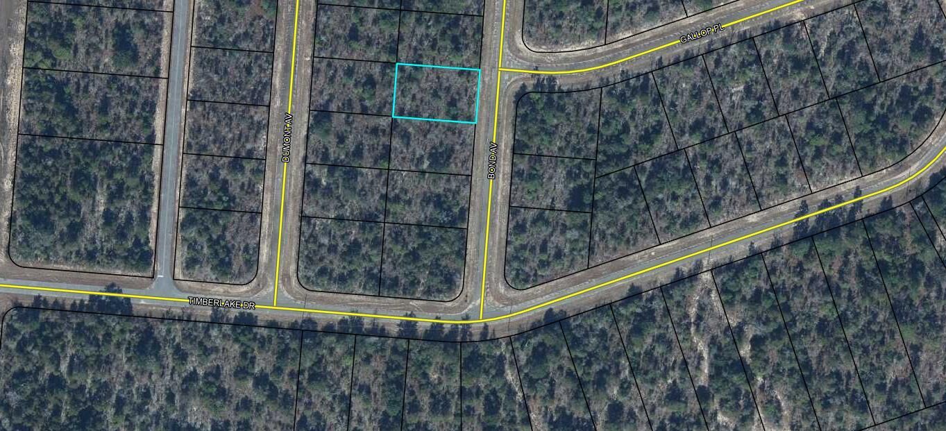 Property Photo:  Lot 12 Bond Avenue  FL 32428 