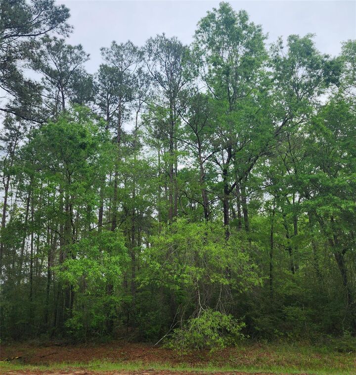 Property Photo: Tbd Cloverdale TX 77351