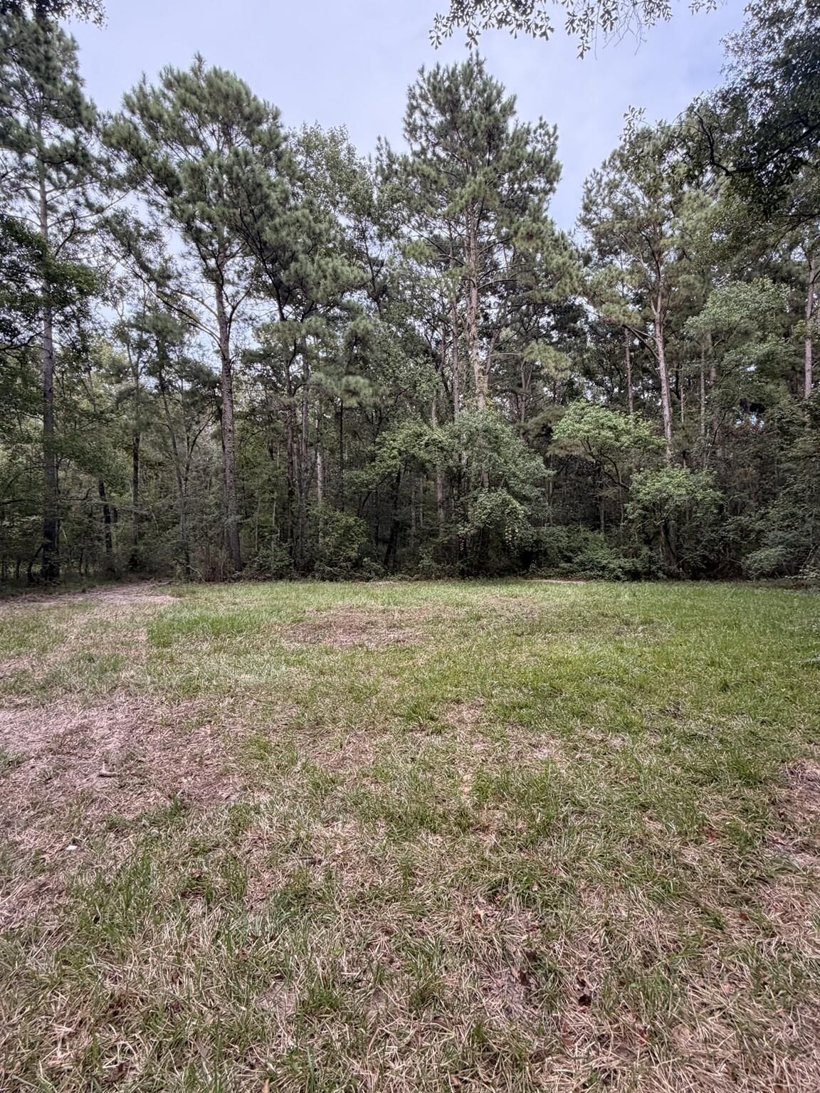 Property Photo:  12300 Farm To Market 1008  TX 77535 