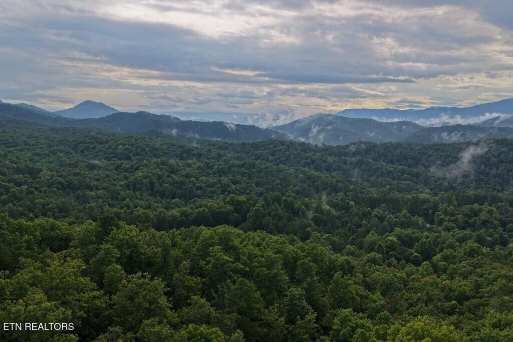Property Photo:  Lot 42 Shady Oaks Way  TN 37876 