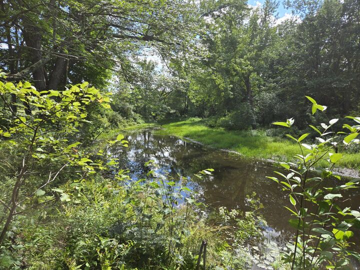 Property Photo: Lot 8 East Andover Road ME 04216