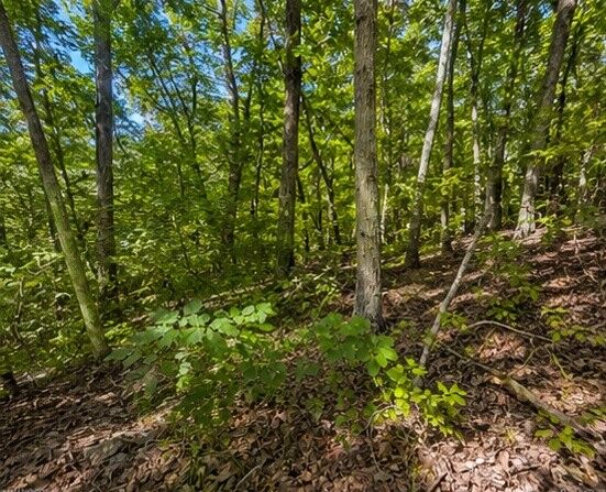 Property Photo: 0 Swiper Dr TN 37166