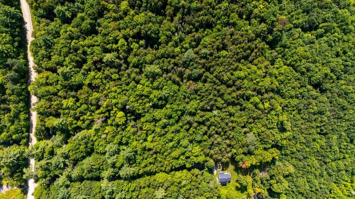 Property Photo: 00 Osgood Farm Road NH 03561