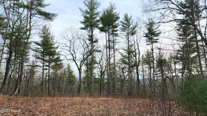 Property Photo: Lot 31 Valley View Court PA 18337