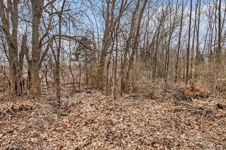 Property Photo: 0000 Dickert Street MI 48382