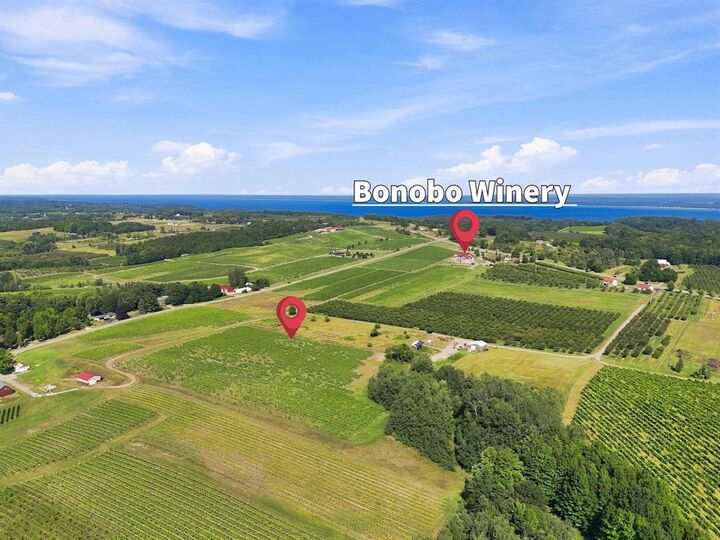 Property Photo: 0 Nelson Road MI 49686