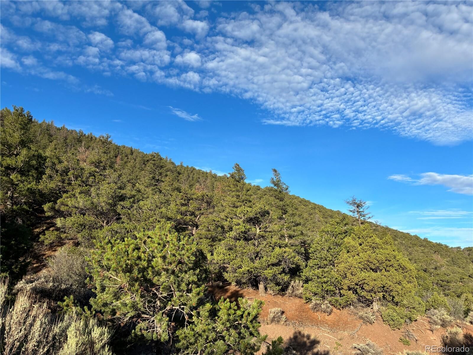 Property Photo: 8.5 Ac Adelaide Road CO 81152