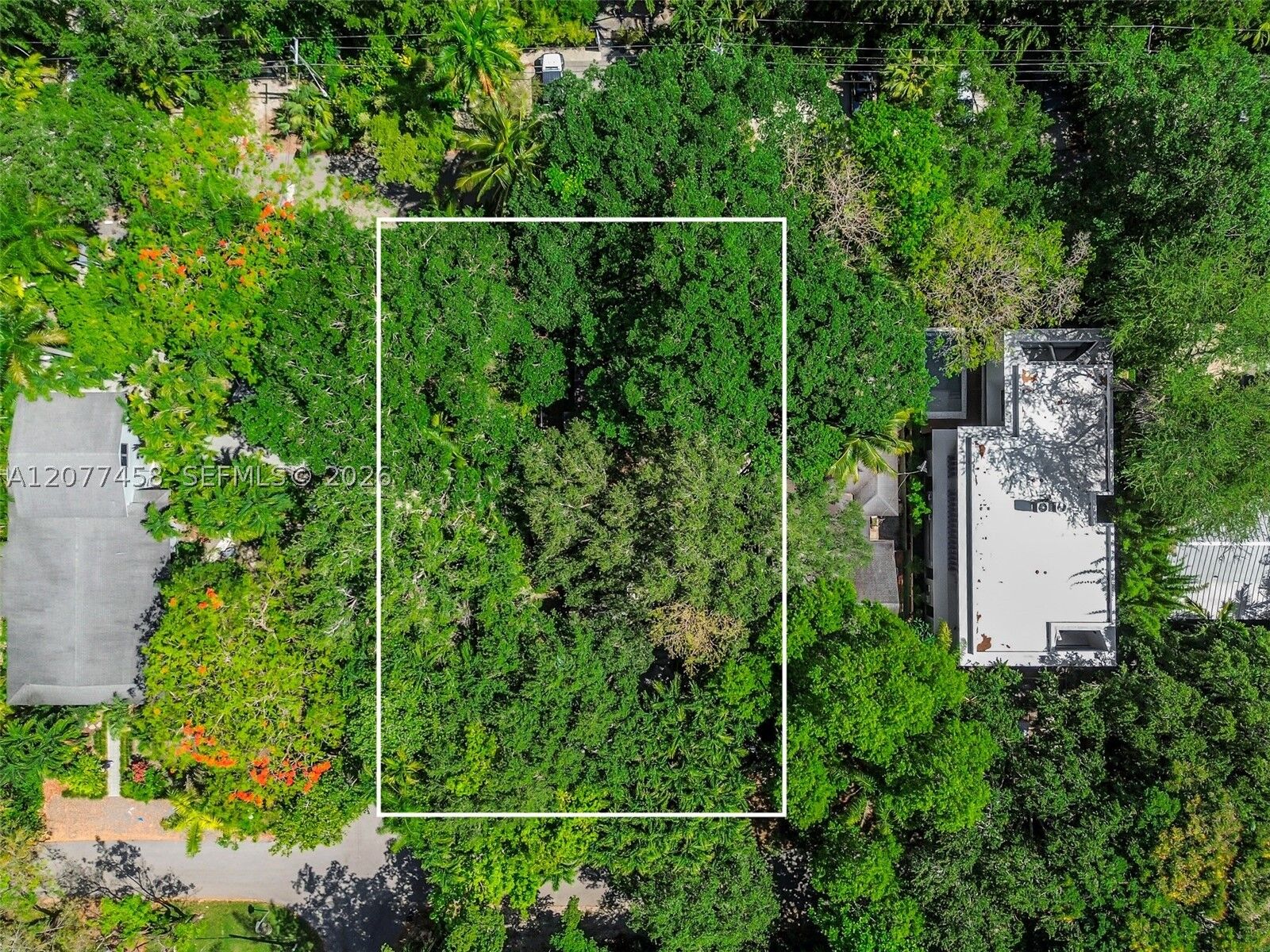Property Photo:  3595 Avocado Ave  FL 33133 