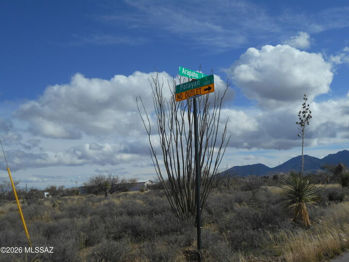 Property Photo:  25145 E Arapaho Trail 430  AZ 85602 