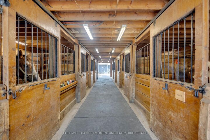 1684 4th Concession Road — photo 1