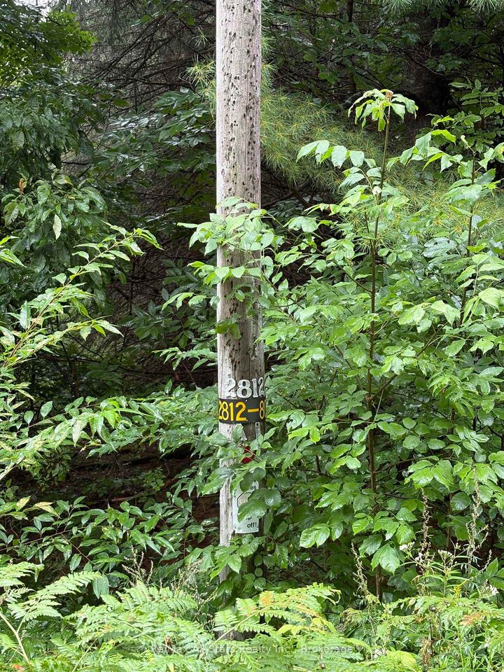Property Photo:  968 North Mary Lake Road  ON P1H 1S4 