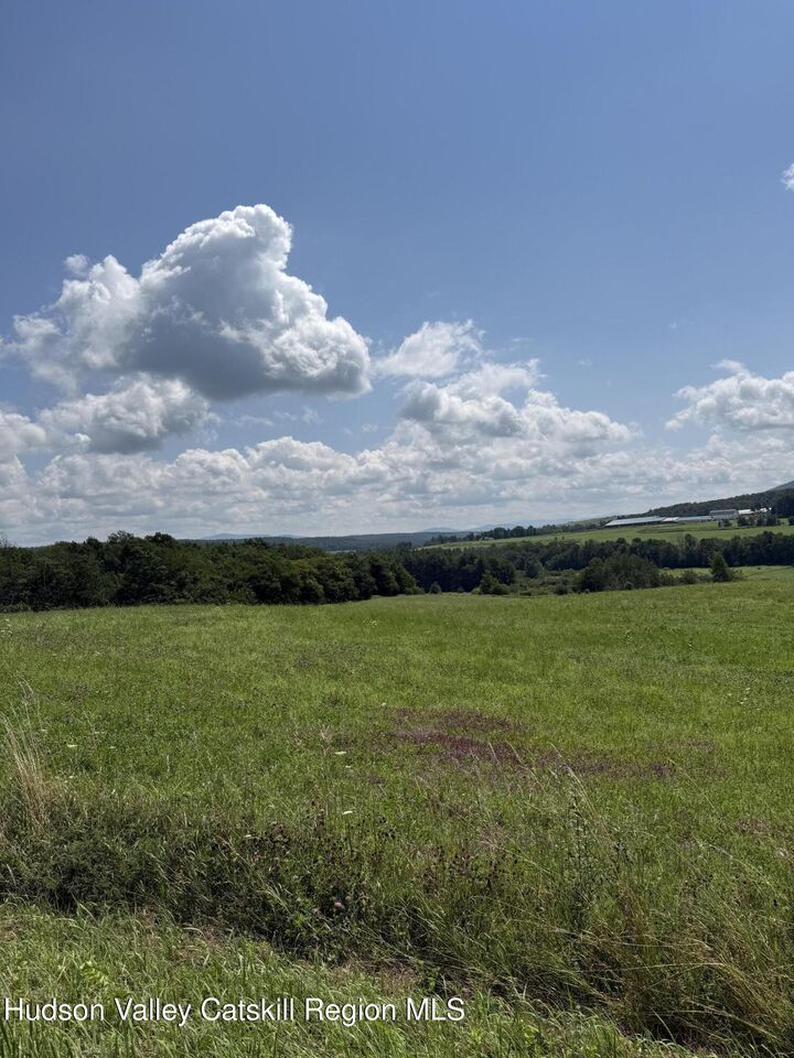 Property Photo:  Lot 4.36 Blackberry  NY 12076 