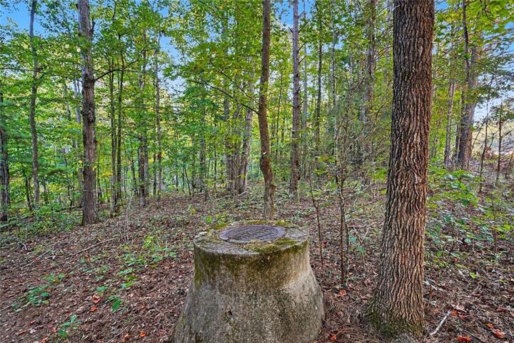 Property Photo:  0 Locust Road  GA 30248 