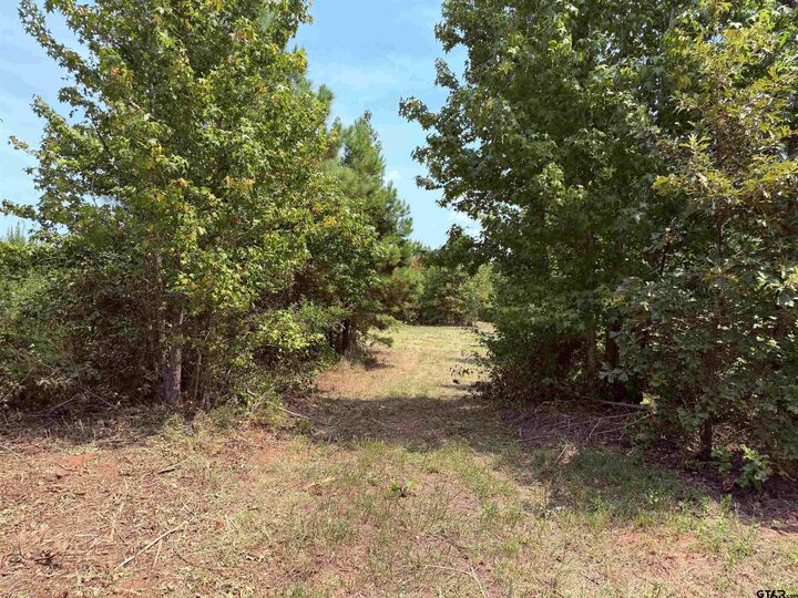 Property Photo: Tbd County Road 353 S TX 75654