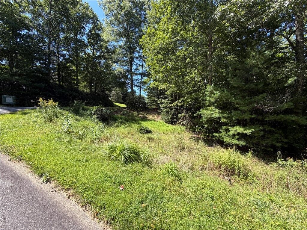Property Photo:  Lot 23 Liberty Landing Drive  NC 28626 