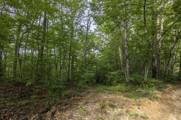 Property Photo:  Lot 116-120 Highland Heights  KY 41397 