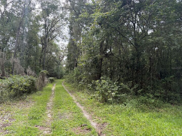 Property Photo:  Tbd SW 113th Avenue  FL 32608 