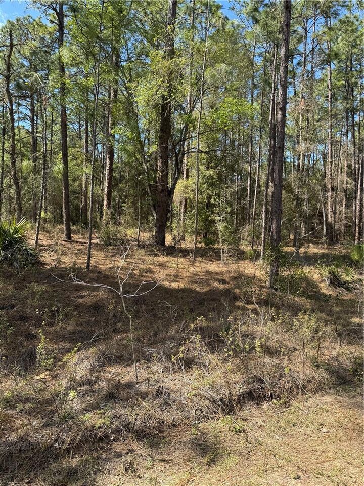 Property Photo: SW 156th Court FL 34481