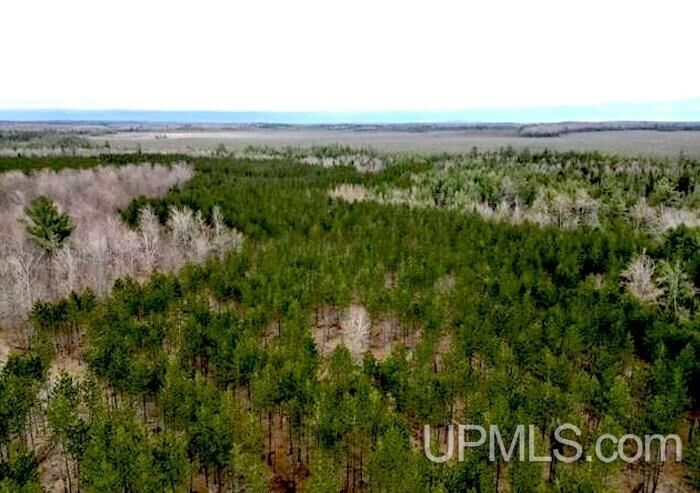 Property Photo: Tbd Co Rd 440 Road MI 49849