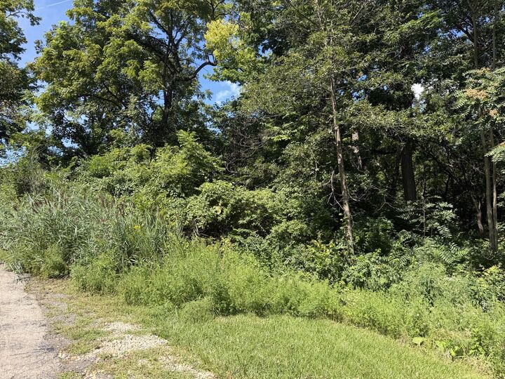 Property Photo: 200 Richards Street IL 61348