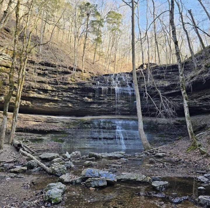 Property Photo:  2280 Big Opossum Creek Rd  TN 37096 
