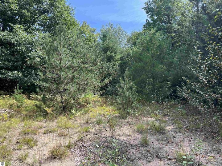 Property Photo:  0 Cedar Lake Road  MI 48738 