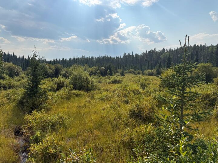 63067 Township Road 311 — photo 1