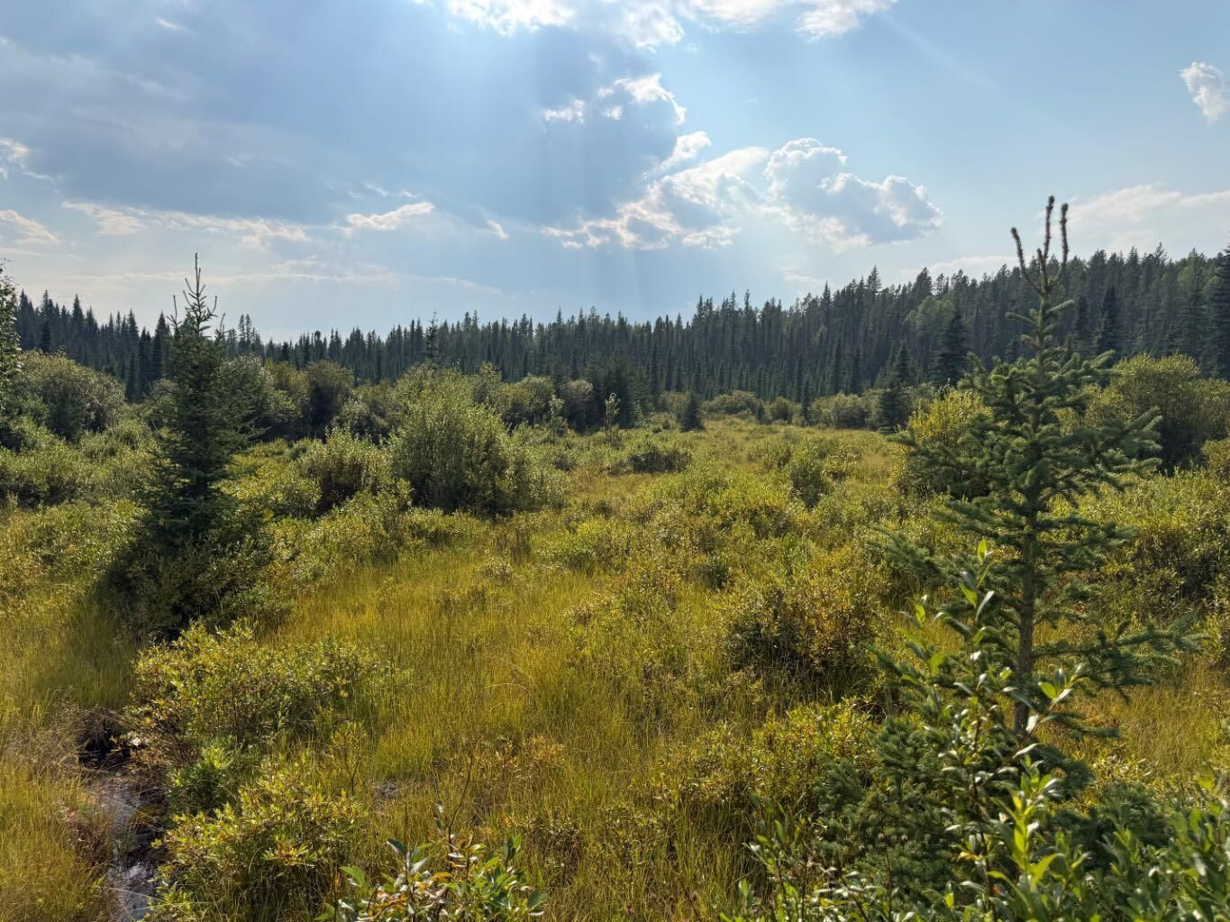 Property Photo: 63067 Township Road 311 AB T0M 0X1