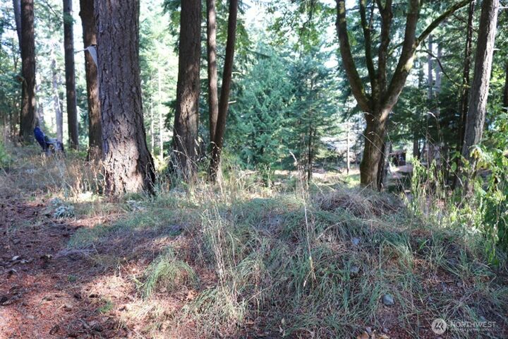 Property Photo: 0 Island Drive WA 98262