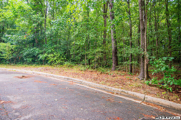 Property Photo:  Lot # 13 Downs Brook Dr  NC 27870 