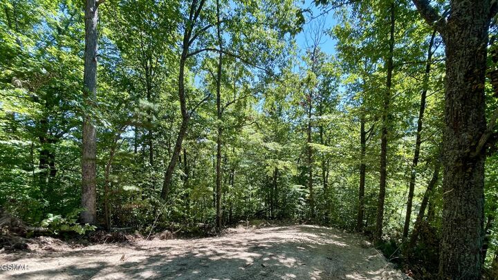 Property Photo:  23 &Amp 24 Red Maple Lane  TN 37876 