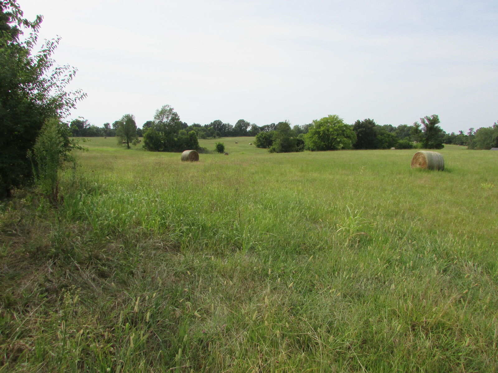 Property Photo:  000 S Farm Rd 67  MO 65738 