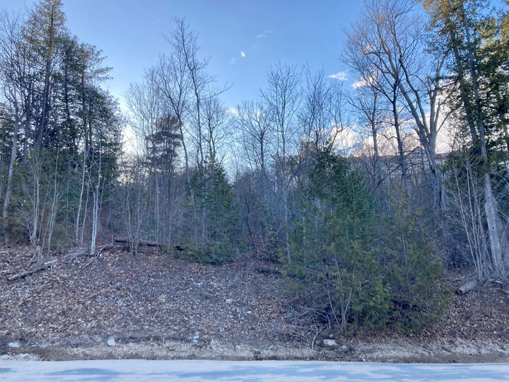 Property Photo:  00 Wood Cliff Drive  NY 12901 