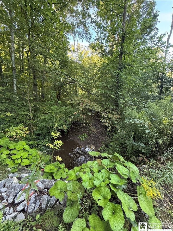Property Photo: 12283 Northeast Road NY 14726