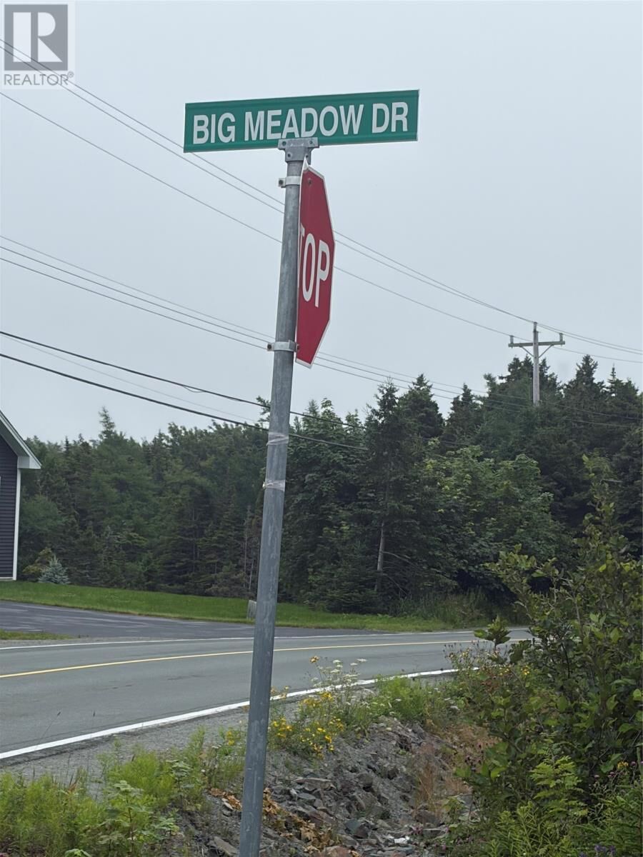Property Photo:  54 Big Meadow Drive  NL A1K 0N1 