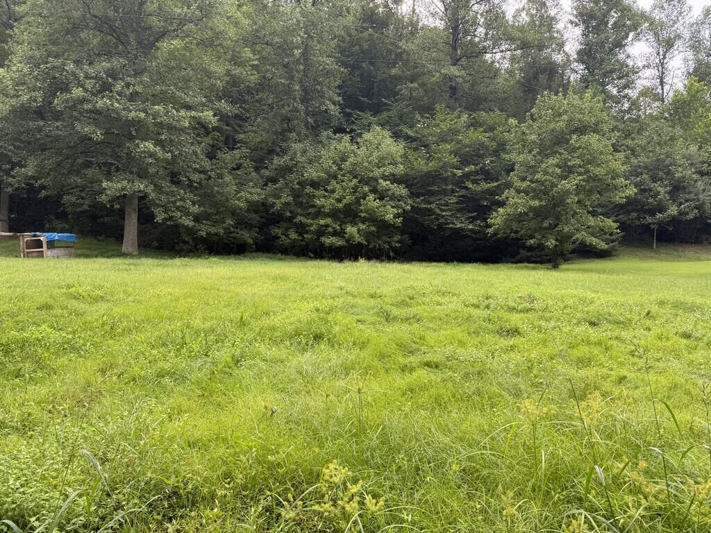 Property Photo:  275,303 Brown Branch  KY 41255 