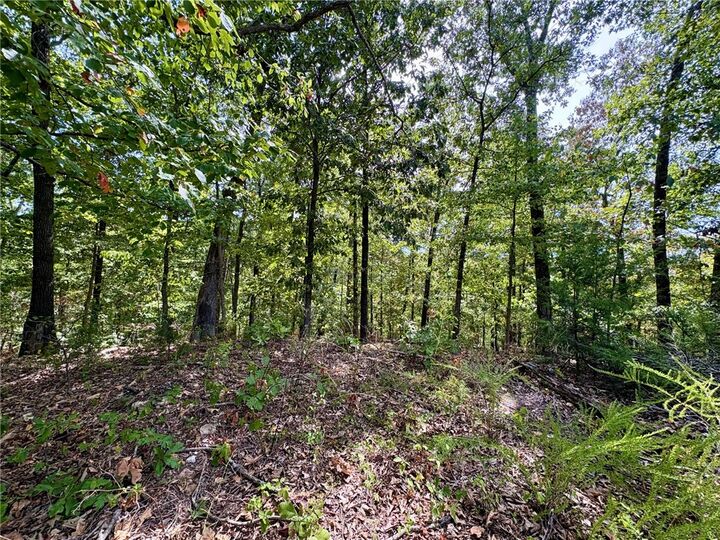 Property Photo: 3 Burn Lane AR 72714