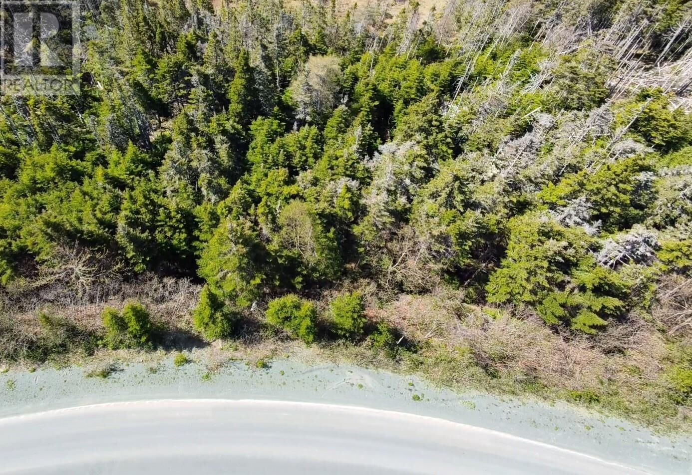 Property Photo:  25 Witch Hazel Drive  NL A1M 3R5 