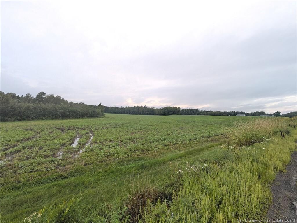 Property Photo:  Lot St. Philippe  NB E1H 1S1 