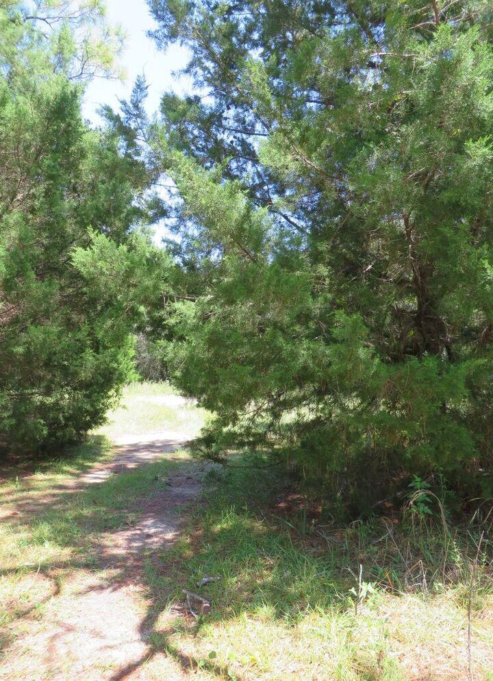 Property Photo:  2648-64 Oak St  FL 32322 