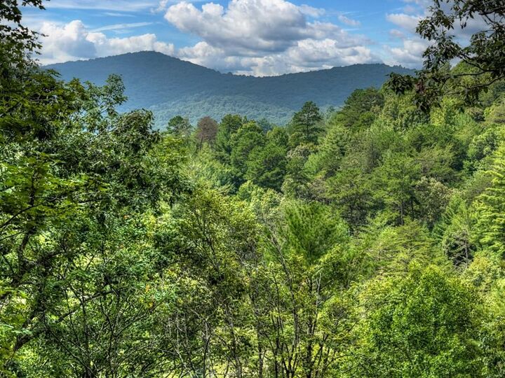 Property Photo: 1821 Stanley Creek Road GA 30522