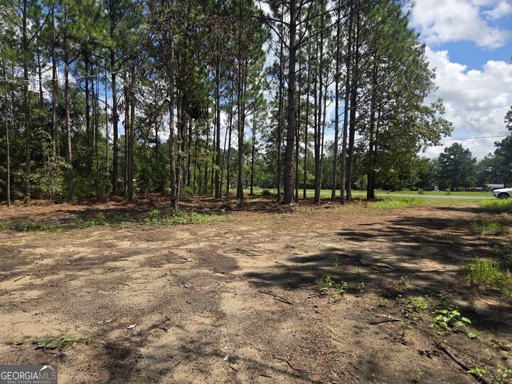 Property Photo:  453 Salter Moon Rd  GA 31027 