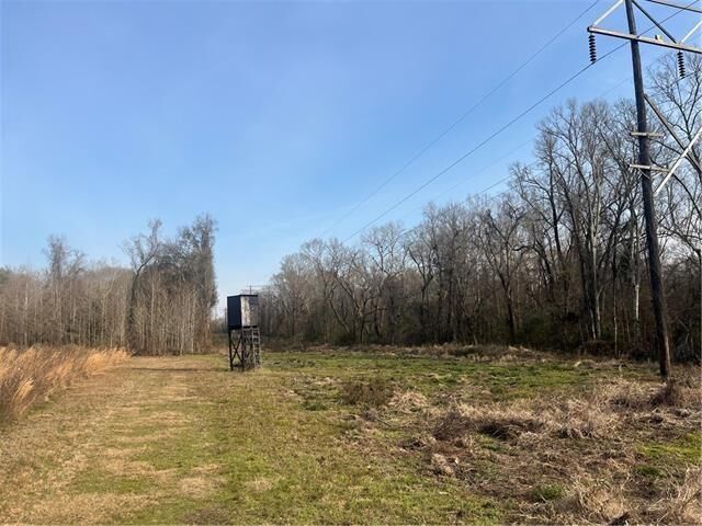Property Photo: 123 Sewer Pond Road LA 71350