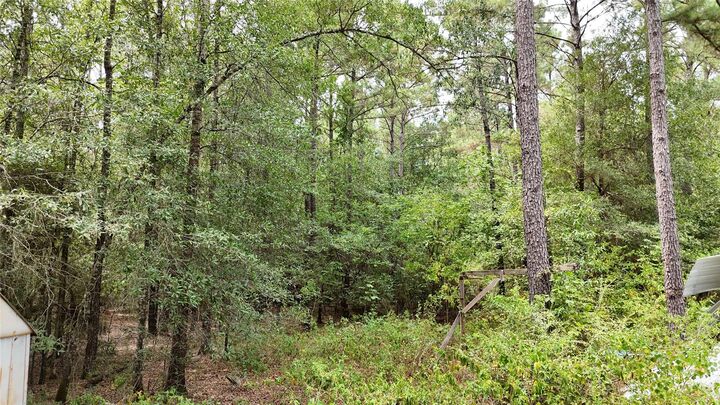Property Photo: Tbd Douglas Nugent Road TX 77351