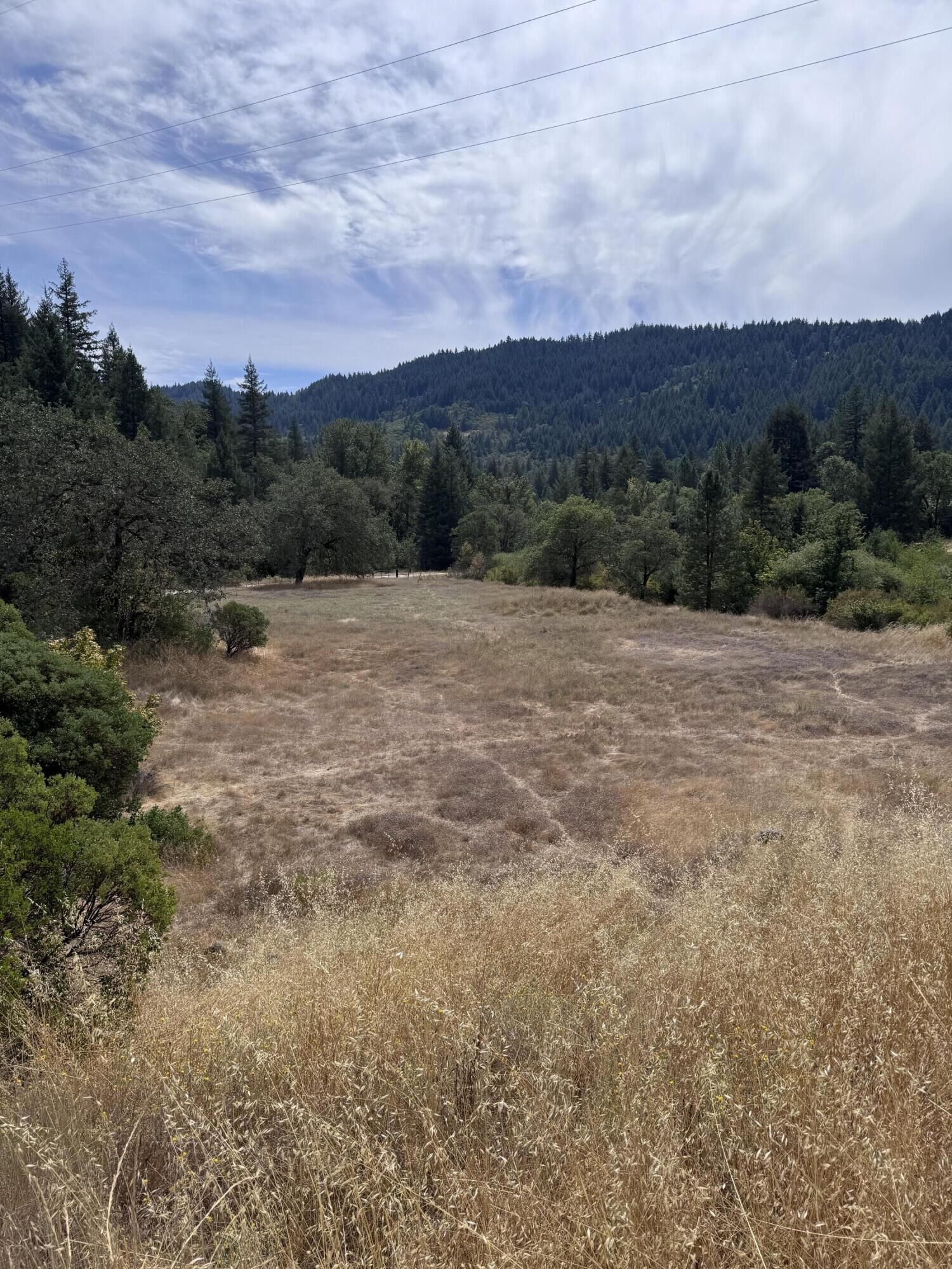 Property Photo:  331 Lamb Creek Road  CA 95552 
