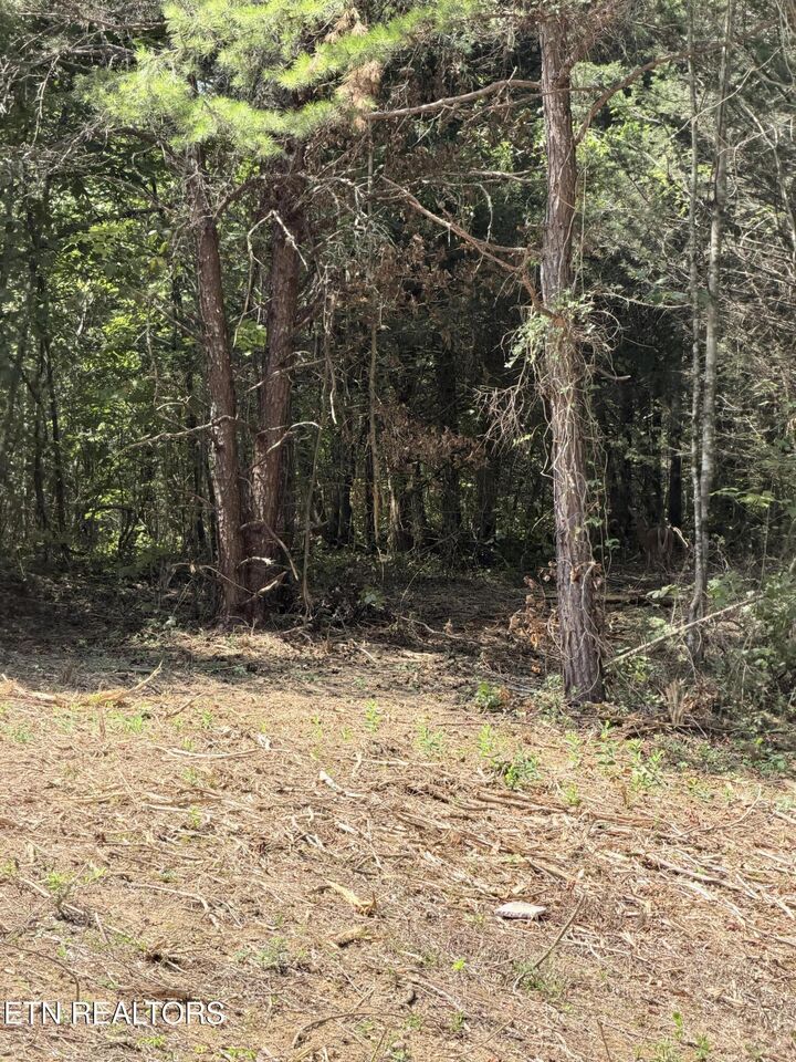 Property Photo:  2534 Muddy Hollow Rd  TN 37725 