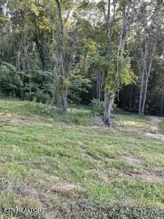 Property Photo: Wells Rd TN 37849