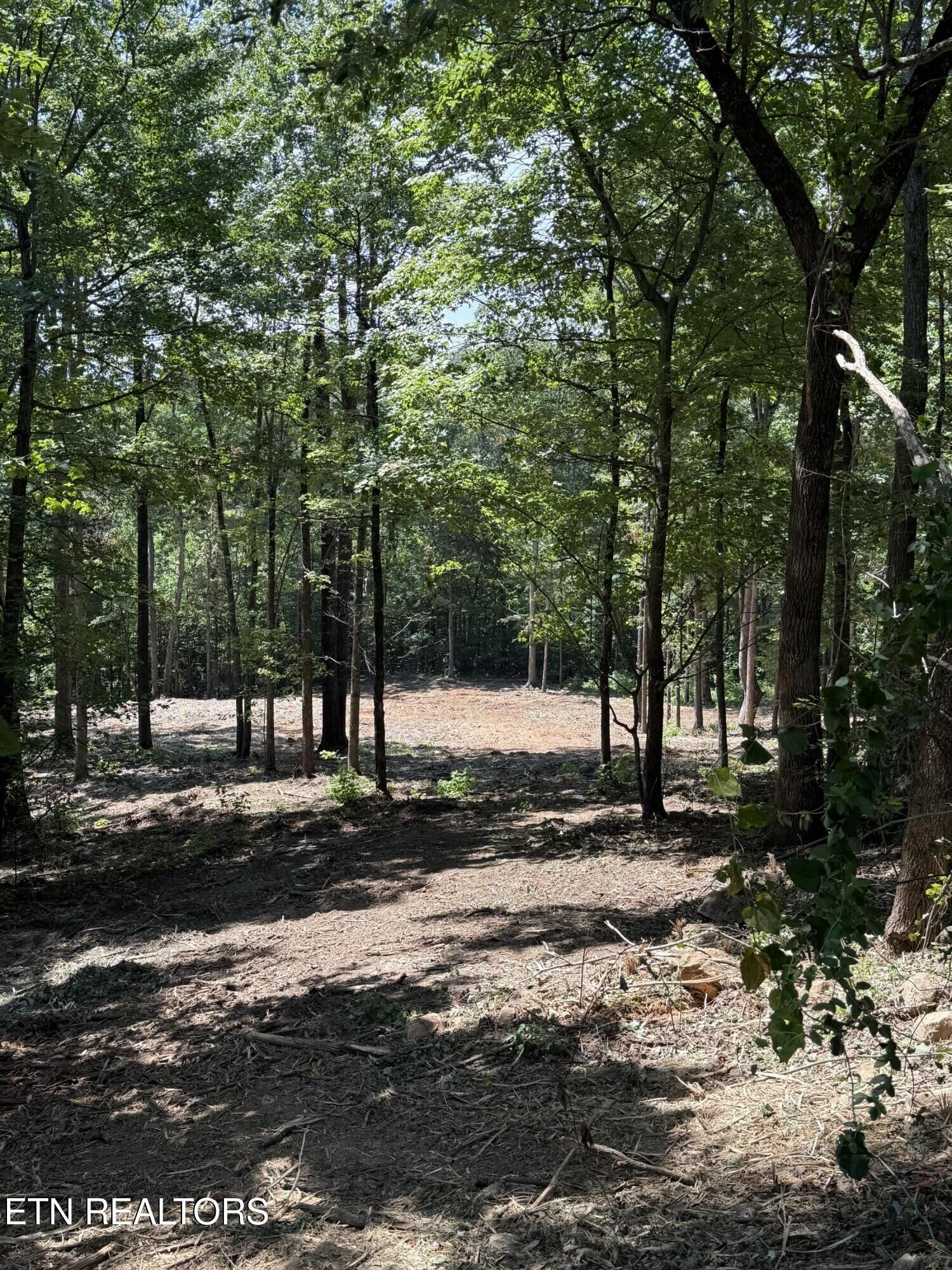 Property Photo:  Lot 150 Mountaineer Tr  TN 37862 