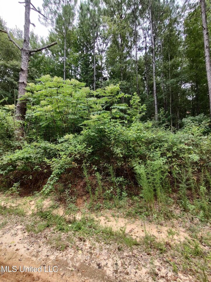 Property Photo: Lakeshore Drive MS 39455